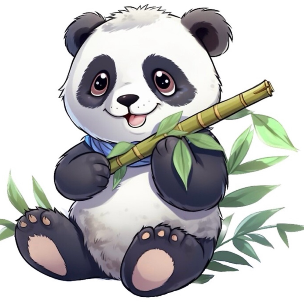 New Bamboo and Toys Unlisted Live Show 12/15/2024